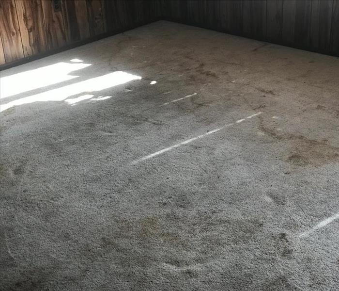Dirty carpet that needs restoring